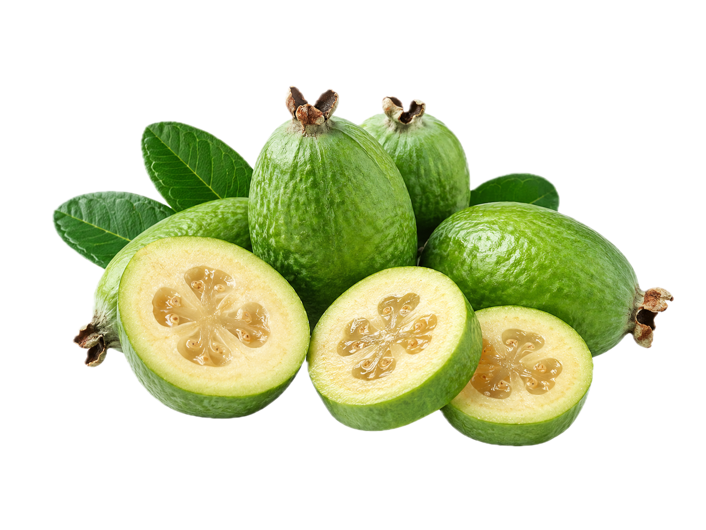 Feijoa bemiddelingscategorie
